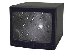 ARS - 9” Monochrome Monitor